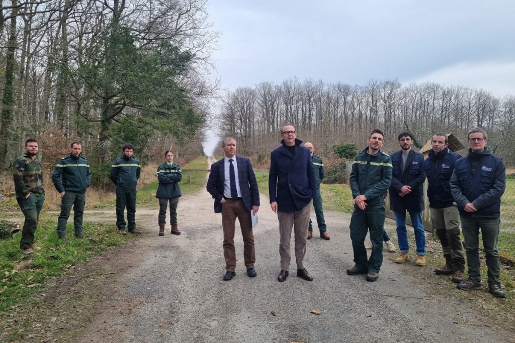 Débroussailler pour préserver les forêts de Sologne