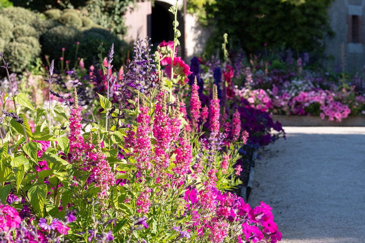 Il était une fois, au jardin…